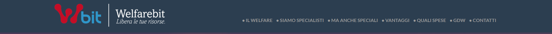 Welfare bit