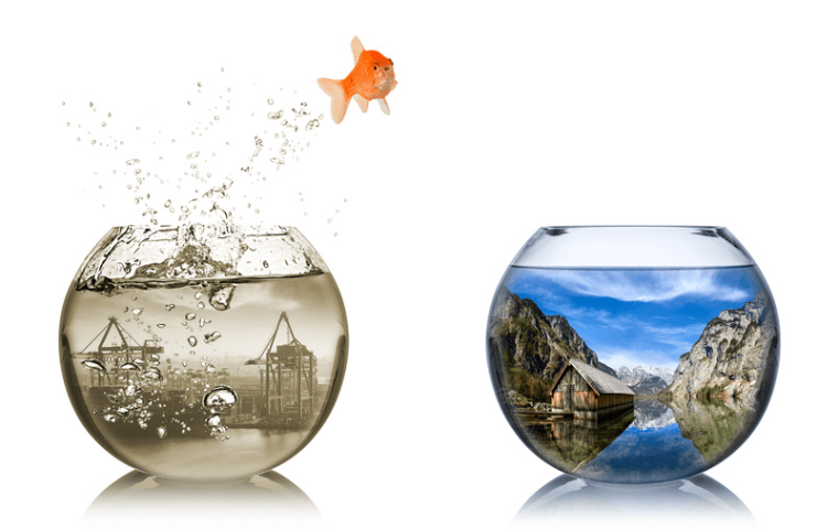 scheda di valutazione del personale